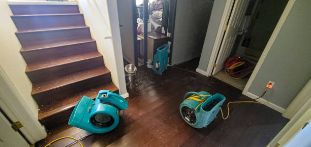 Best Water damage restoration near me  in Gatesville, TX